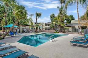 A swimming pool surrounded by palm trees and lounge chairs.