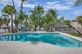 A swimming pool surrounded by palm trees and a fence.