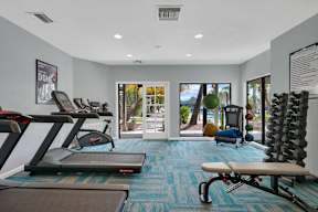 A gym with treadmills, exercise balls, and a bench.
