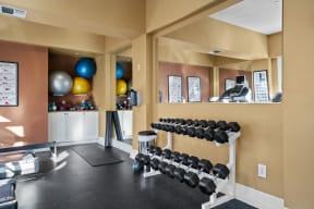 a spacious fitness room with weights and a treadmill
