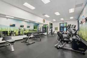 Echo Mountian Fitness Center Free Weights