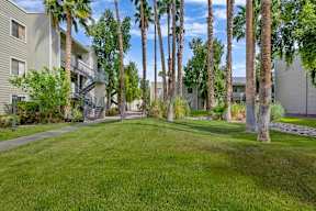 A grassy area with palm trees and apartment buildings in the background.
