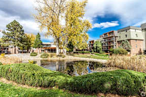 A pond in the middle of a grassy area with a yellow tree in the background.