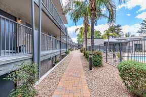 A long brick pathway leads through a landscaped area with a pool and palm trees.