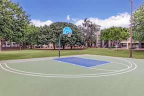 A basketball court with a blue hoop and green court.