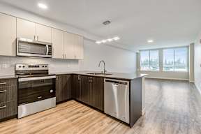 Geo Apartments Vacant Kitchen