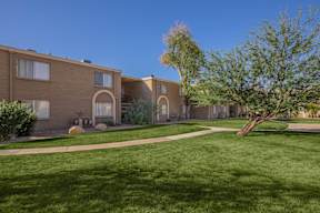 A tree stands in a grassy area in front of a building.