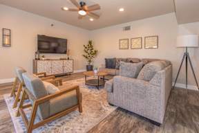 A living room with a grey couch, a wooden chair, a small table, a television, and a plant.