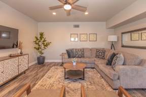 A living room with a grey couch, a coffee table, a plant, and a ceiling fan.