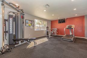 A gym with a variety of equipment including a treadmill, a leg press machine, and a squat rack.