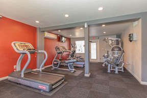 A gym with treadmills, elliptical machines, and a weight machine.