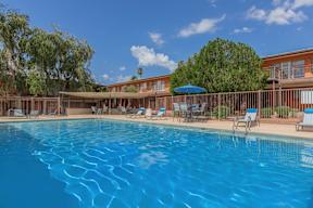 A large swimming pool with sun loungers and trees in the background.