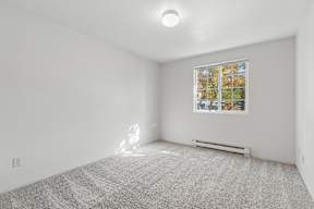 A room with a window showing trees outside.