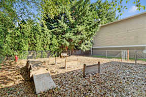 A backyard with a slide and a fence.