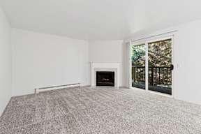 A room with a fireplace and a carpet.