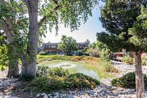 A serene garden with a pond, trees, and a house in the background.