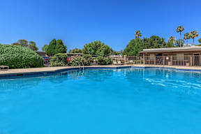 Shannon Park Apartments in Tucson, Arizona Pool