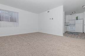 A room with a carpeted floor and a window with blinds.