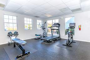 A gym with a treadmill, exercise bike, and rowing machine.