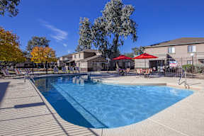 A swimming pool surrounded by trees and chairs.
