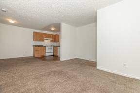 A room with a carpeted floor and a kitchen area in the background.