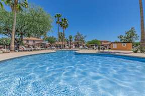 A swimming pool surrounded by palm trees and a clear blue sky.