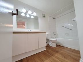 a bathroom with a toilet and a shower and a sink