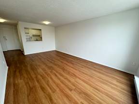 A room with wooden flooring and a white wall.