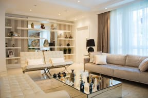 Fancy living room