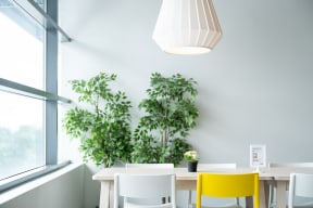 Dining Room Space with Large Windows and tons of sunlight