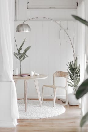 Side table with plant and sunlight