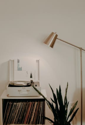 a living room with a record player and a plant