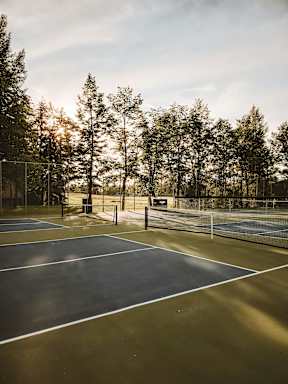 A tennis court surrounded by trees and a fence.