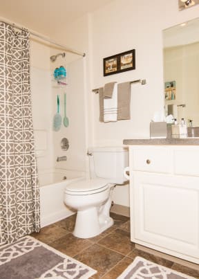 Upgraded Bathroom at Sir Charles Court Apartments, Beaverton, OR