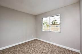 A room with a carpeted floor and a window showing a view of trees.