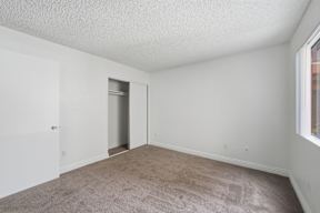 A room with a carpeted floor and a closet with a door open.