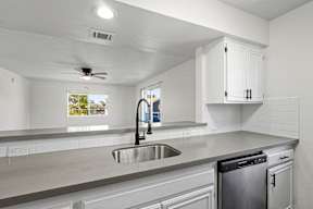 A modern kitchen with a stainless steel sink and dishwasher.