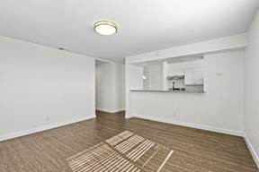 A room with a wooden floor and a ceiling light.
