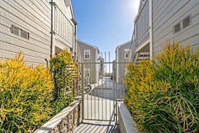 A gated entrance to a residential area with yellow shrubbery on either side.