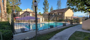 Gated swimming pool, spa, and sun deck area surrounded by lush gardens and trees at Northwood Apartments in Upland, California.