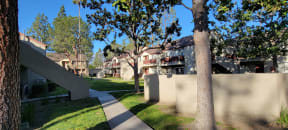Open green space with beautiful trees between buildings at Northwood Apartments in Upland, California.