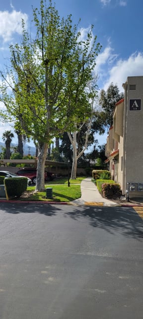 Beautiful trees, blue sky and mountain views at Sierra Vista Apartment Homes in Lake Elsinore, California.