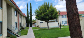 Walkway and beautiful trees and grass at Magnolia Apartments in Riverside, California.