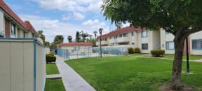 View of swimming pool & spa, wonderful trees and blue sky at Magnolia Apartments in Riverside, California.