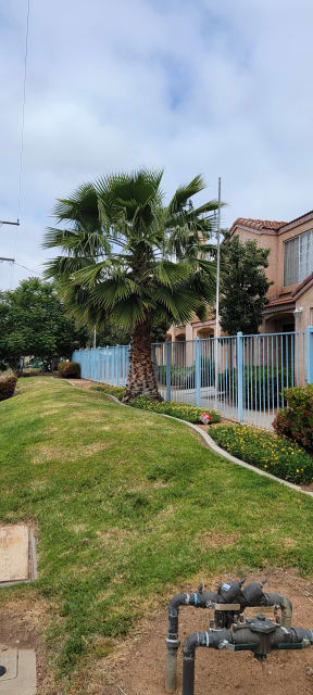 Sidewalk view of front of Palos Verdes Apartments in Moreno Valley, California.