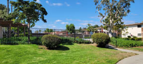 Beautiful trees and lush gardens around swimming pool at Plaza Verde Apartments in Escondido, California.