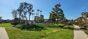 View of swimming pool area with mature trees and landscaping at Plaza Verde Apartments in Escondido, California.