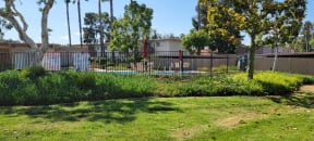 Beauty surrounds the pool and sun deck at Plaza Verde Apartments in Escondido, California.