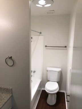 a bathroom with a bathtub and a toilet