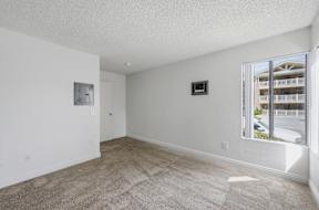 A spacious room with a carpeted floor and a window showing a building outside.